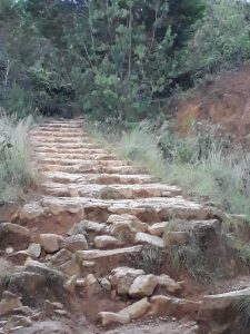 conectando territorios, desde el cerro pan de azucar hasta la laguna de santa Elena. Voces de la madre tierra