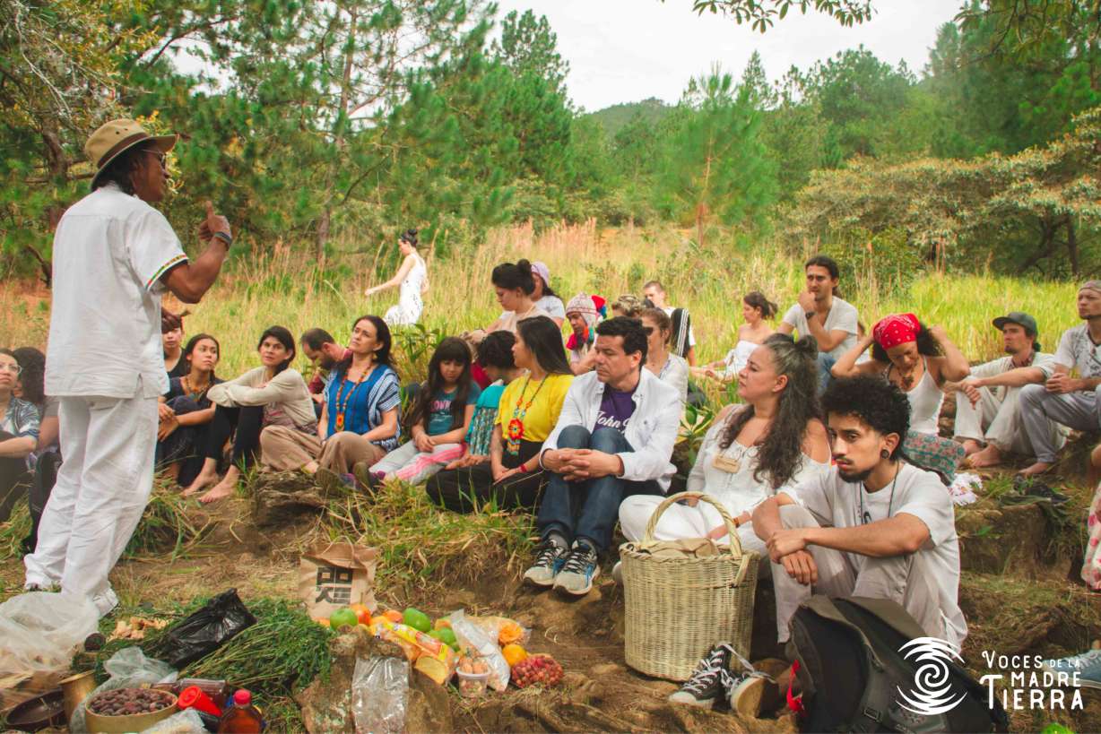 Camino Ancestral Niquía del Cerro Quitasol: territorio, arqueología y memoria viviente - 26 Sistema de Terrazas Camino Ancestral Niquía del Cerro Quitasol - Voces de la Madre Tierra