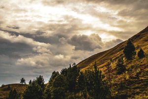 La voluntad de la montaña - Voces de la madre tierra