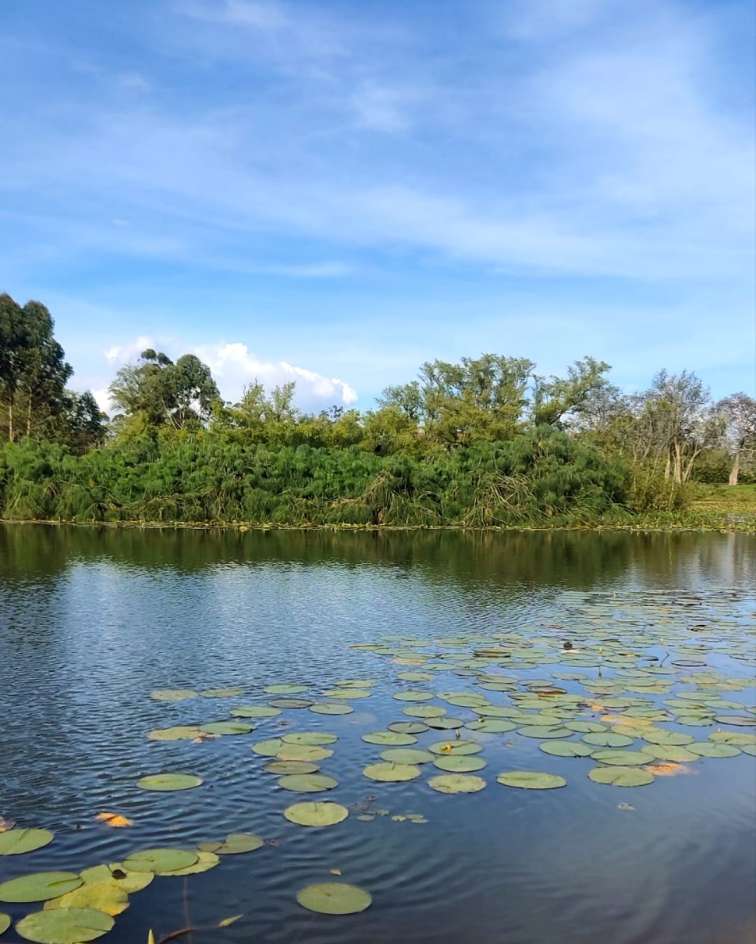 Humedal Guadalcanal - Rionegro - Ofrendas a la Madre Tierra - Voces de la Madre Tierra