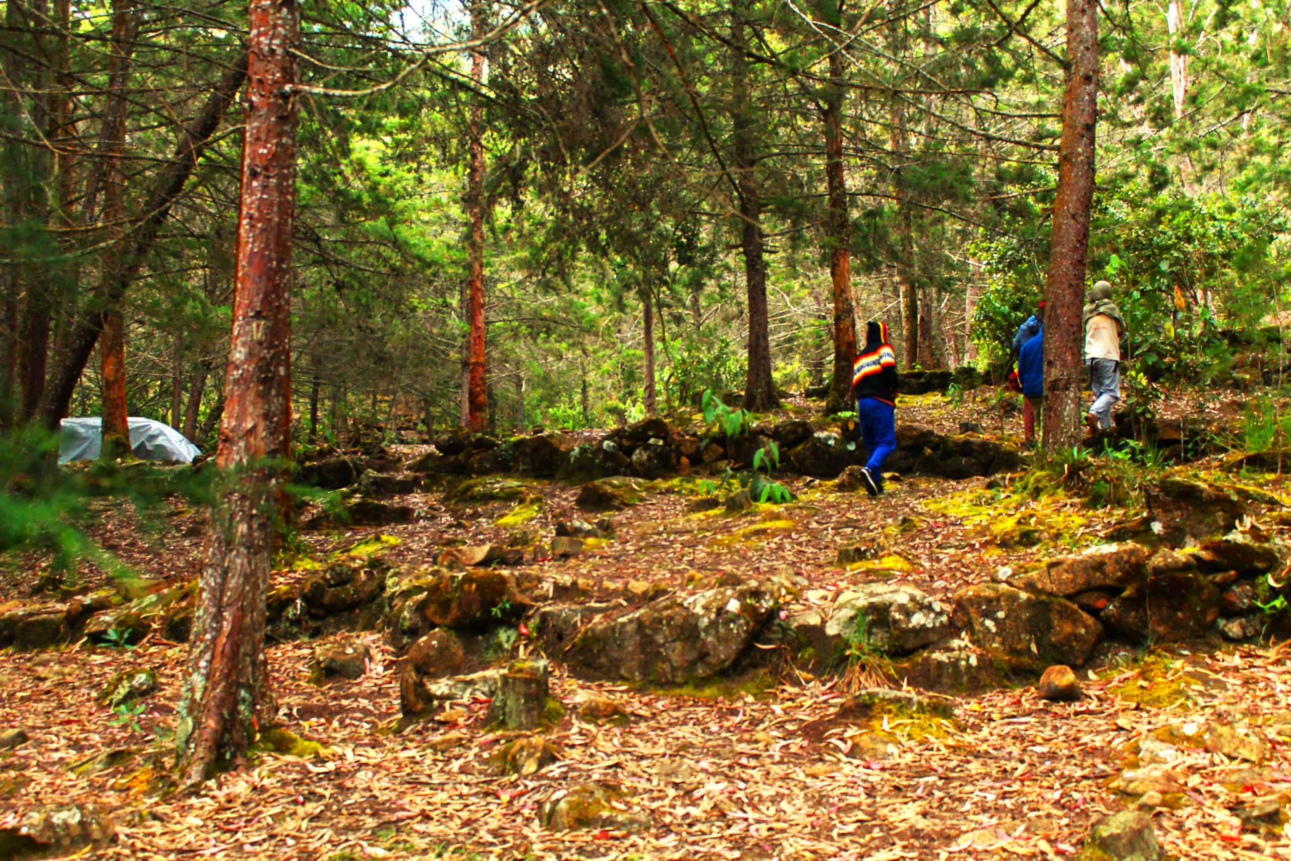Camino Ancestral Niquía del Cerro Quitasol: territorio, arqueología y memoria viviente- Voces de la Madre Tierra