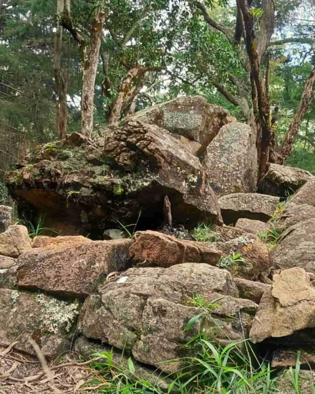 Muros de Contención Camino Ancestral Niquía del Cerro Quitasol