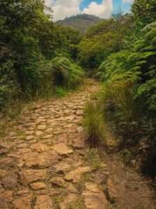 Camino Ancestral Niquía del Cerro Quitasol: territorio, arqueología y memoria viviente- Voces de la Madre Tierra