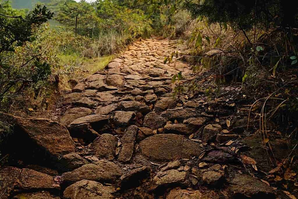 Camino Ancestral Niquía del Cerro Quitasol: territorio, arqueología y memoria viviente- Voces de la Madre Tierra