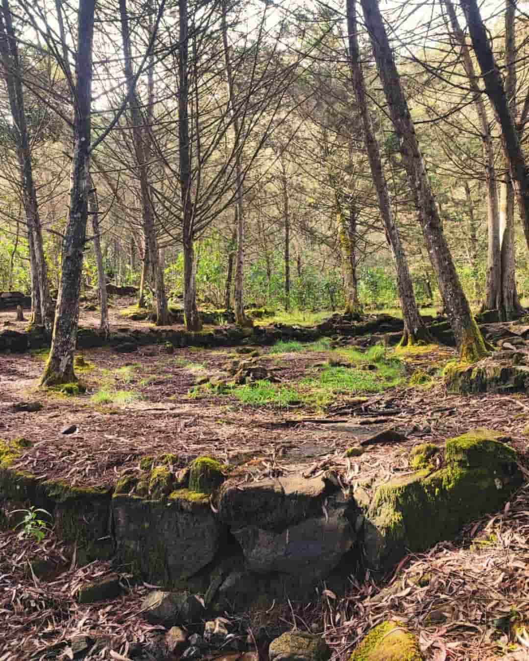 Sistema de Terrazas Camino Ancestral Niquía del Cerro Quitasol - Voces de la Madre Tierra