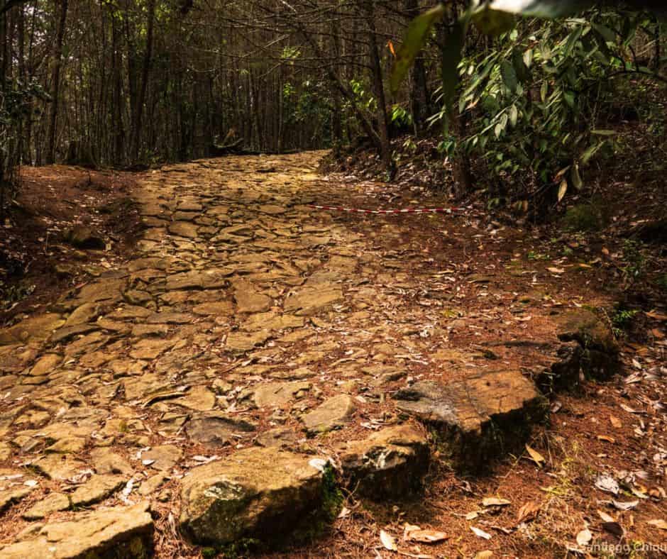 Sistema de Terrazas Camino Ancestral Niquía del Cerro Quitasol - Voces de la Madre Tierra